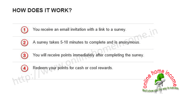 how survey panel works