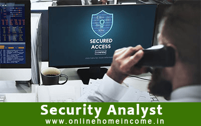 Security Analyst